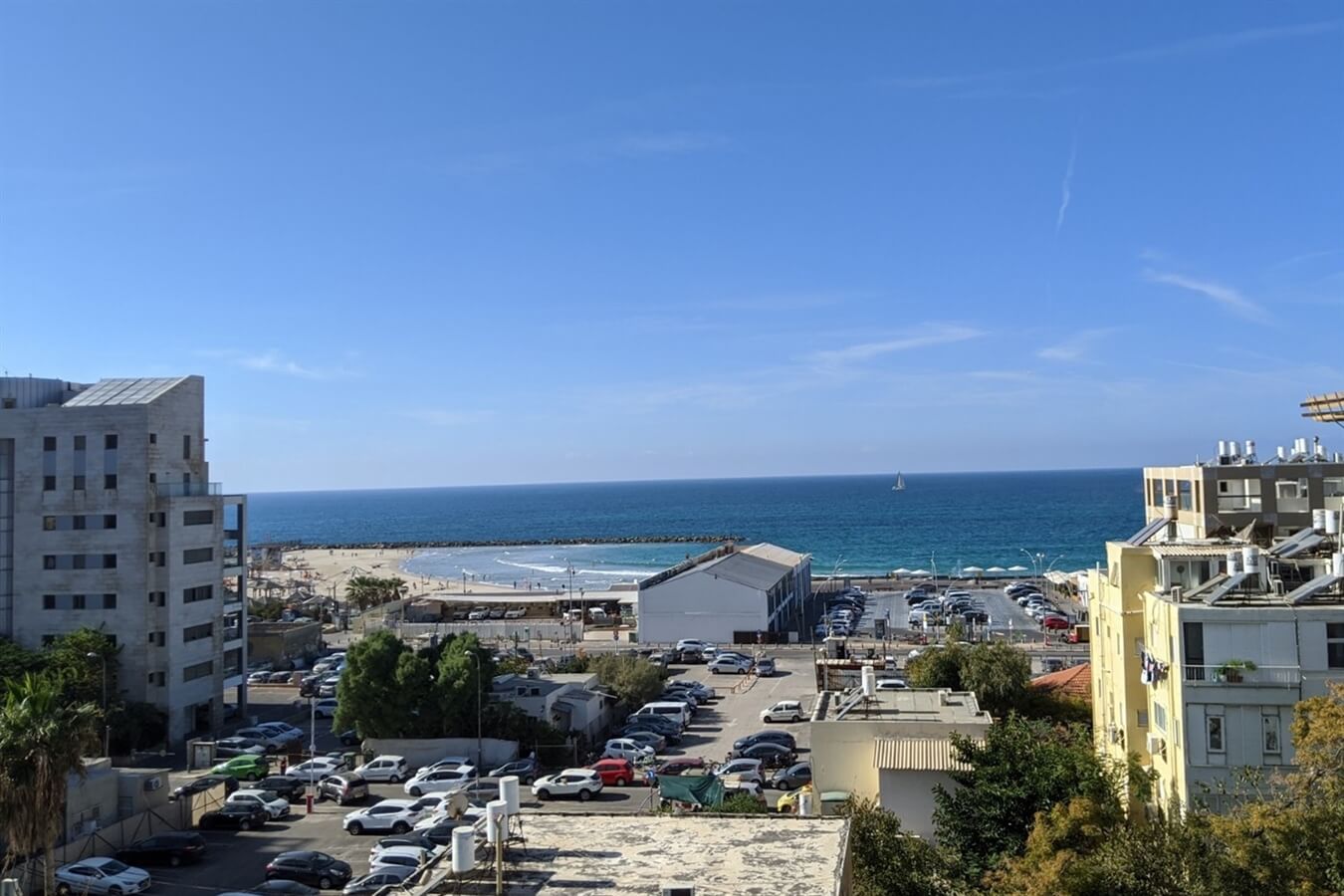 תמונה של התל אביבית הצעירה - 7 תמונה של התל אביבית הצעירה - 7