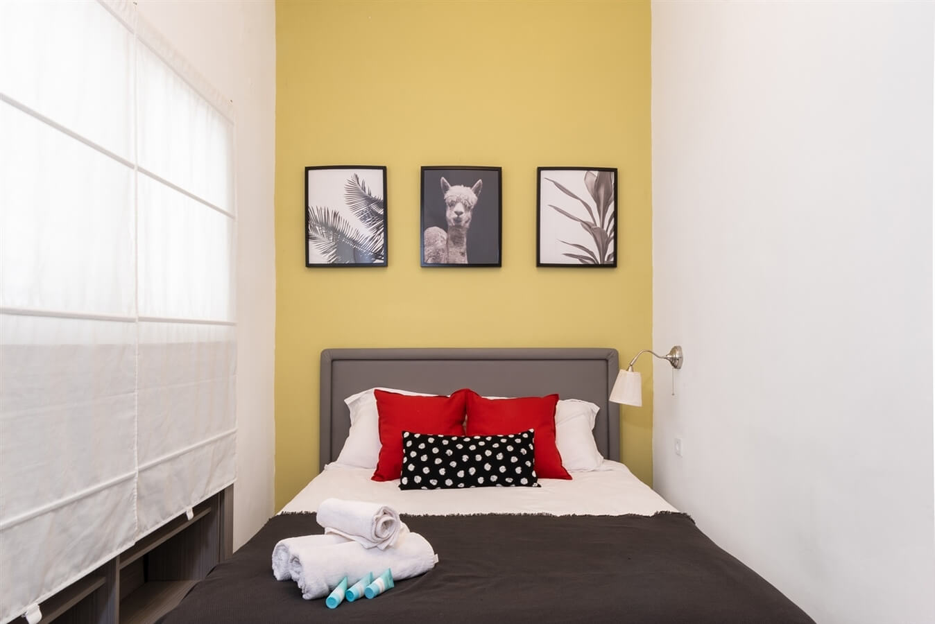 תמונה של התל אביבית הסטייליסטית - 2 תמונה של התל אביבית הסטייליסטית - 2