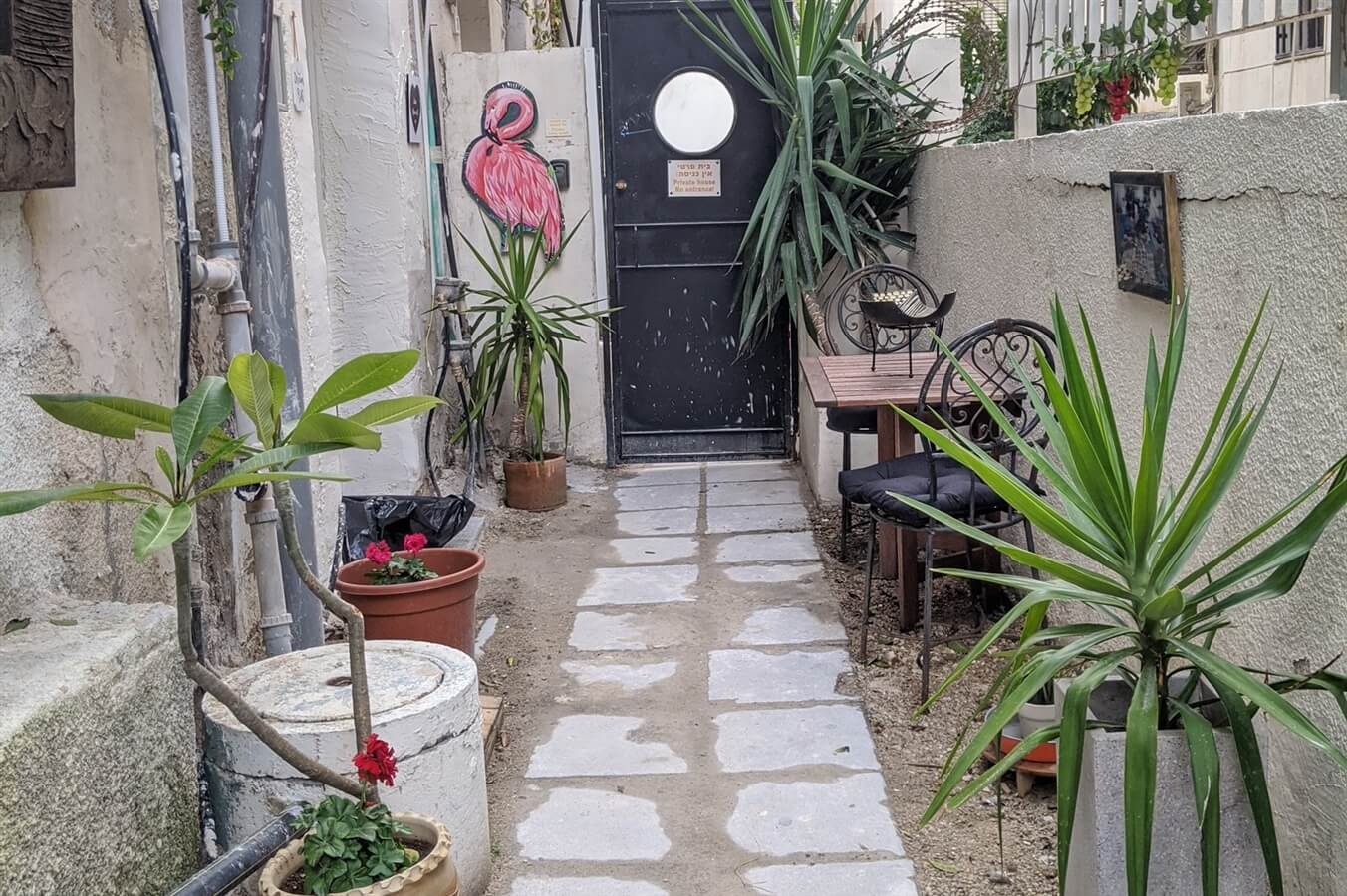 תמונה של התל אביבית האינטימית - 7 תמונה של התל אביבית האינטימית - 7