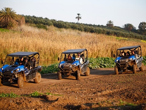 תמונה של מסלולים