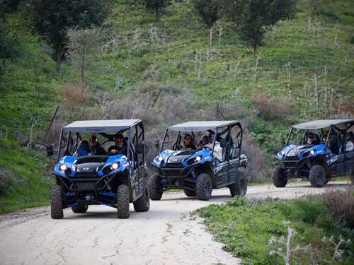 תמונה של מסלולים
