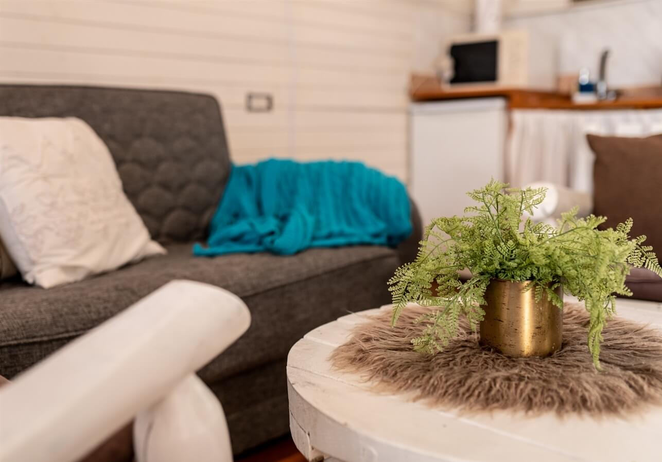 תמונה של הסווויטה המשפחתית - 6