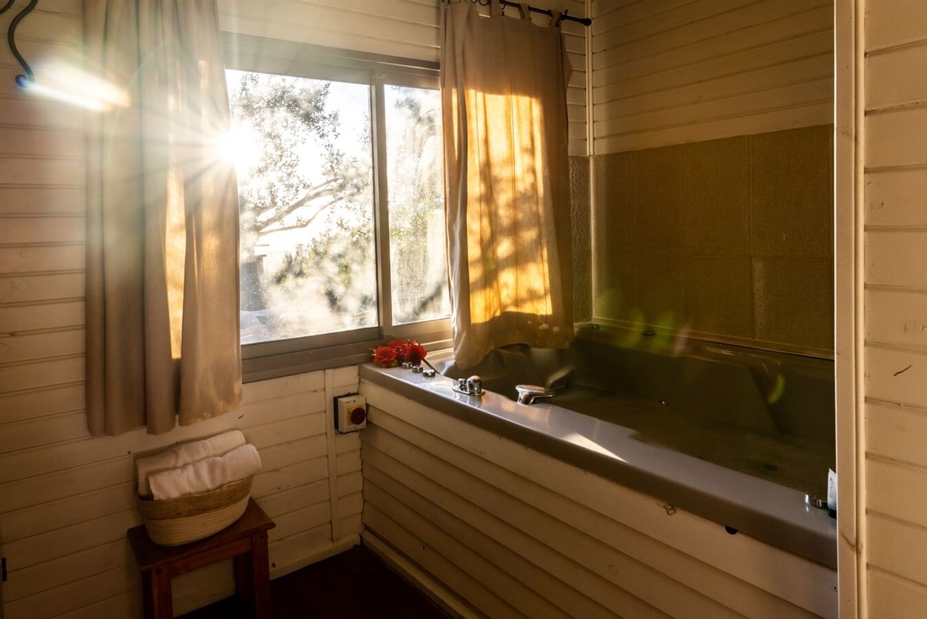 תמונה של הסווויטה המשפחתית - 3