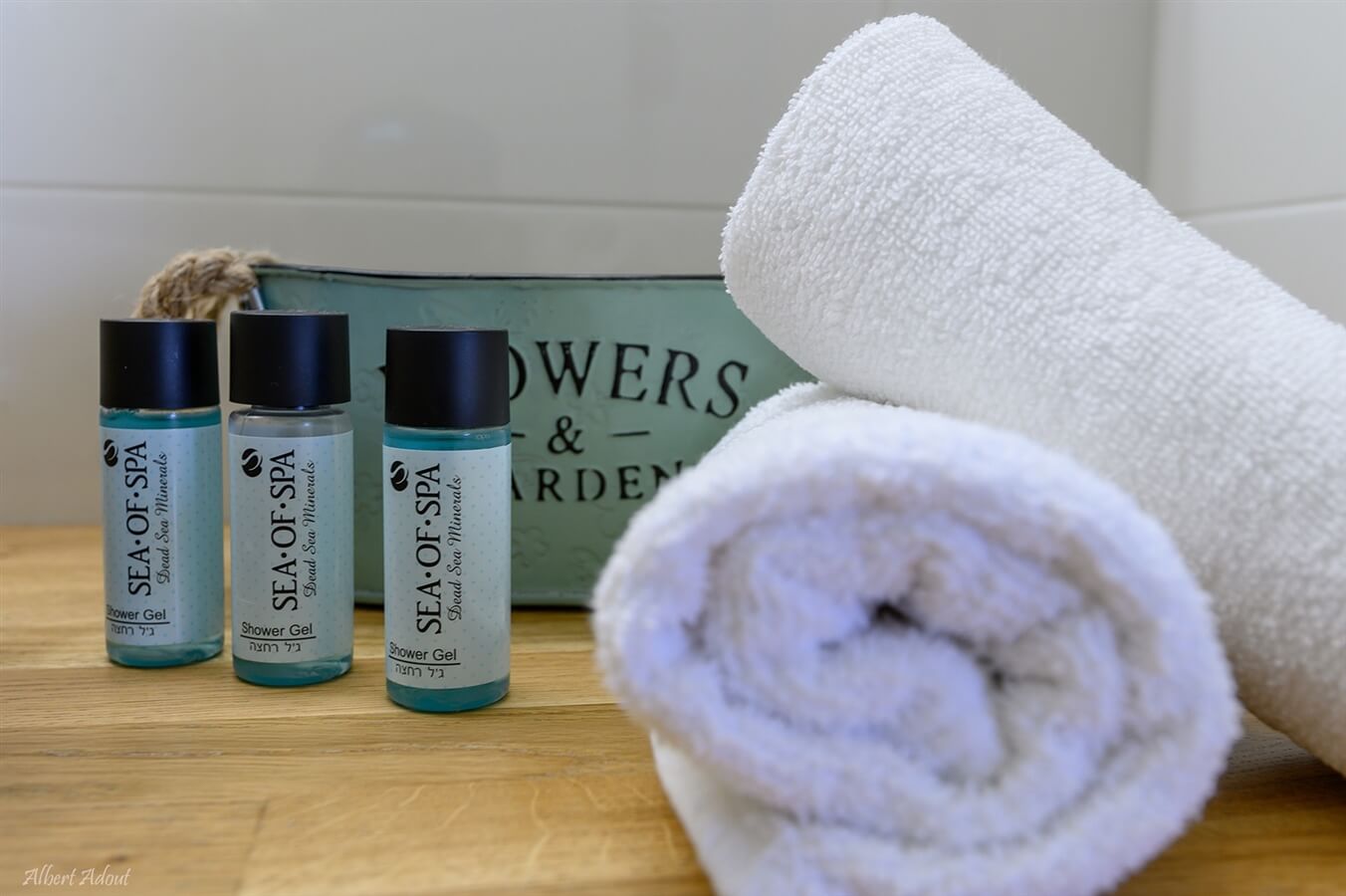 תמונה של דירת הבוטיק - 6