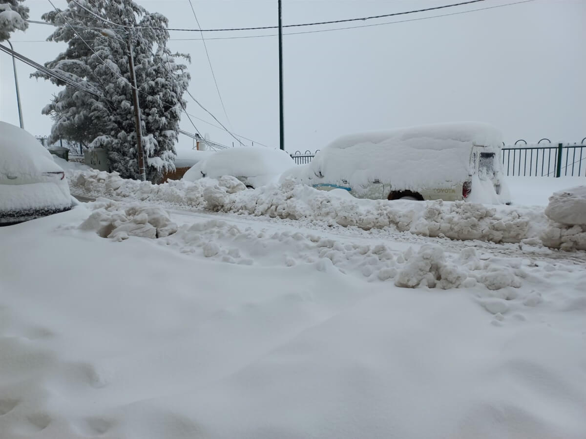 תמונה של יחידה משפחתית - 10