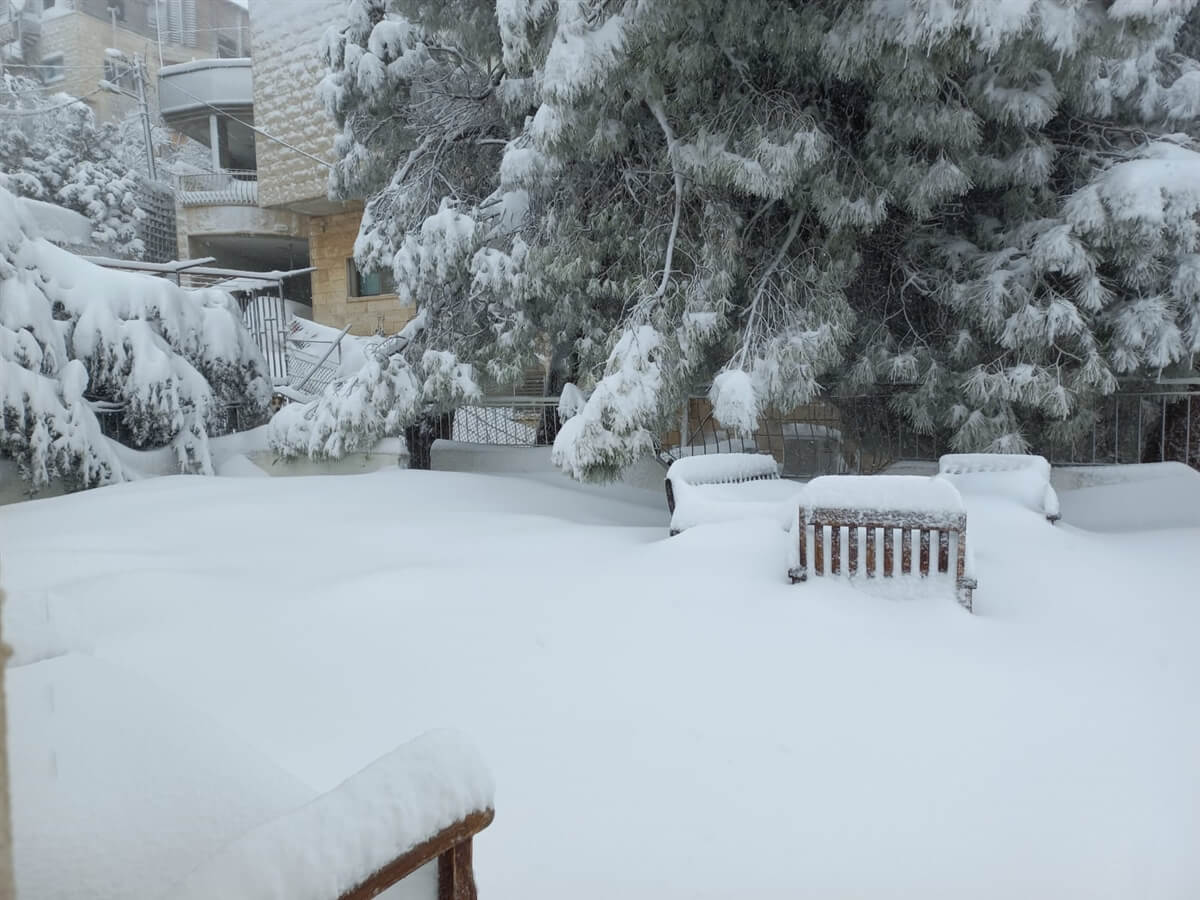 תמונה של יחידה משפחתית - 9