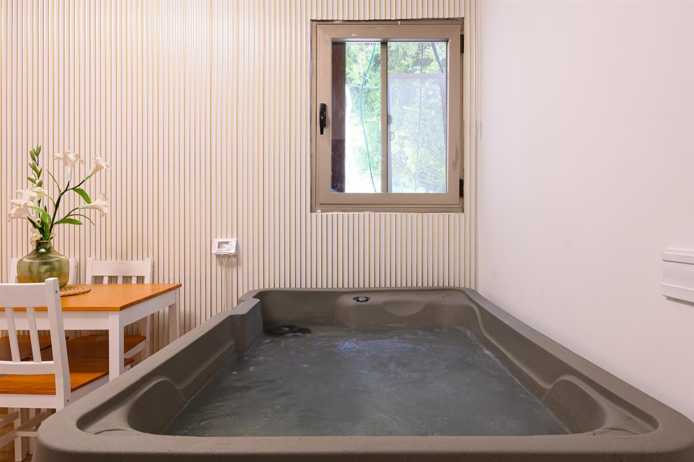 תמונה של סוויטת סילבר - 11