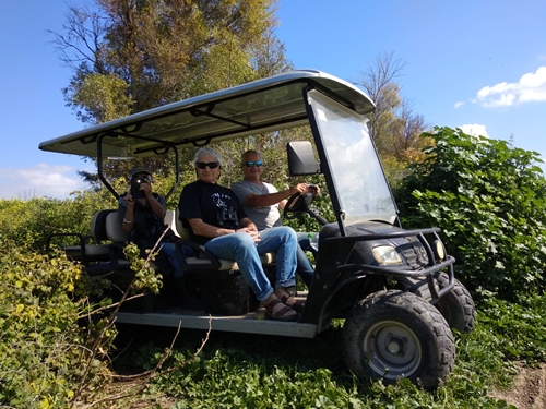 תמונה של המסלול