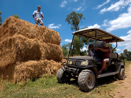 תמונה של המסלול