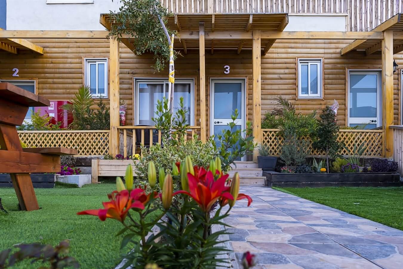 תמונה של בקתות העץ - 11