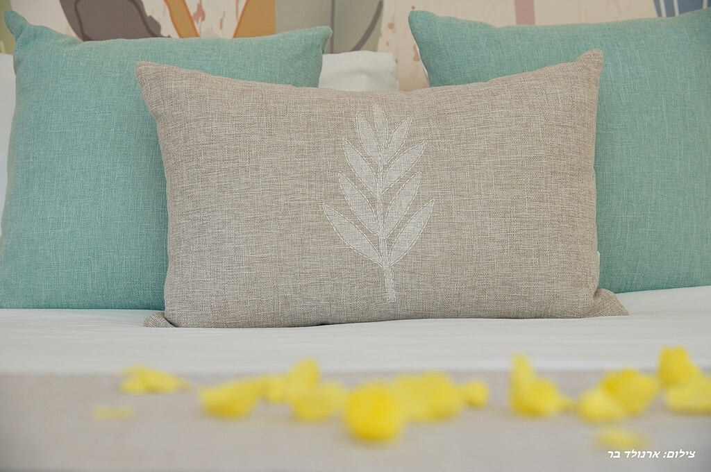 תמונה של צימר 2 - 2