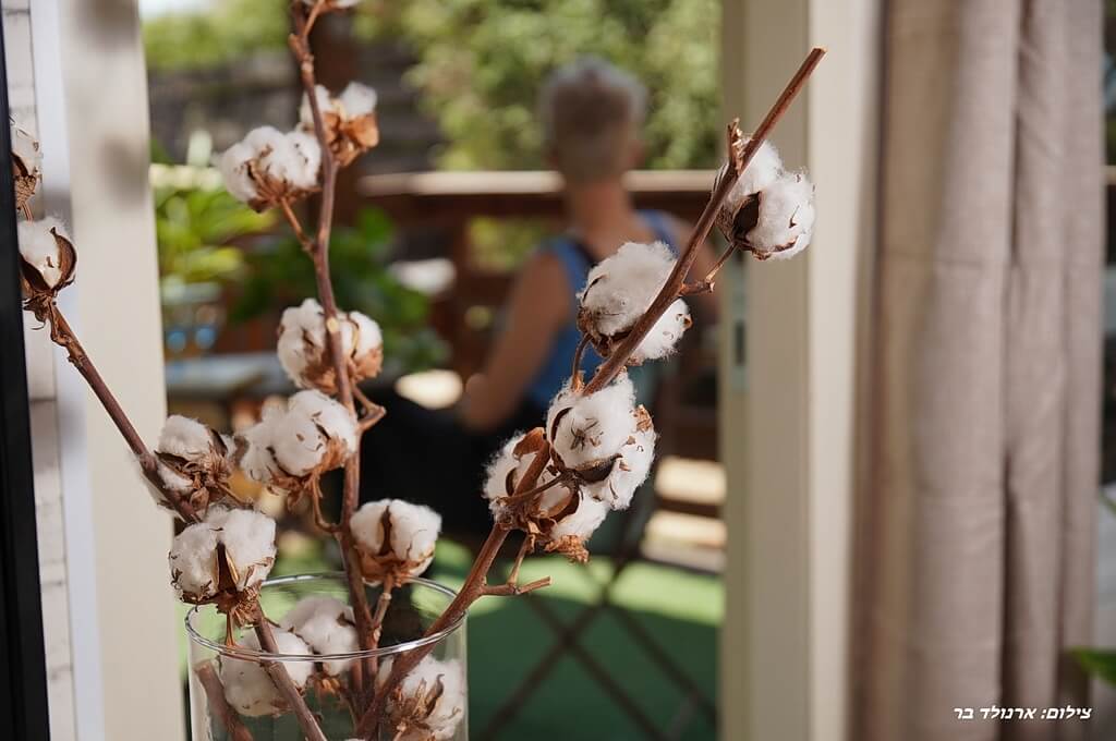 תמונה של צימר 1 - 8