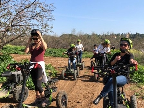 תמונה של איזי ריידר תמונה של איזי ריידר
