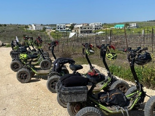 תמונה של איזי ריידר תמונה של איזי ריידר