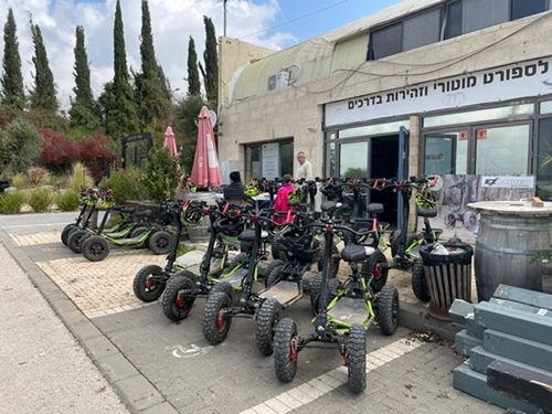 תמונה שצולמה בראלי ארט איזיריידר - 3 תמונה של ראלי ארט איזיריידר - 3