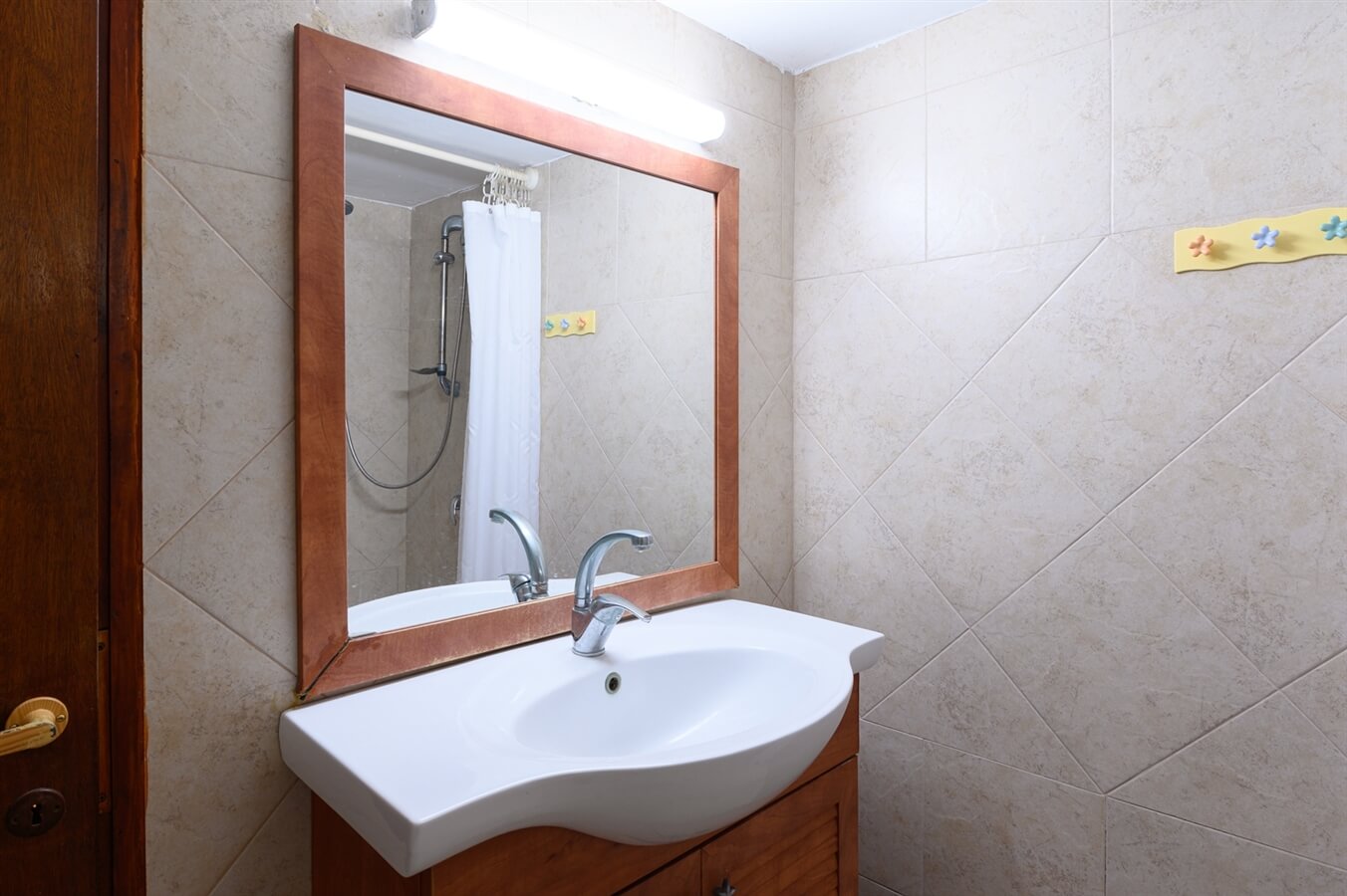 תמונה של כלנית - 11