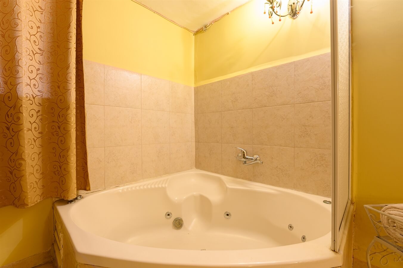 תמונה של כלנית - 9