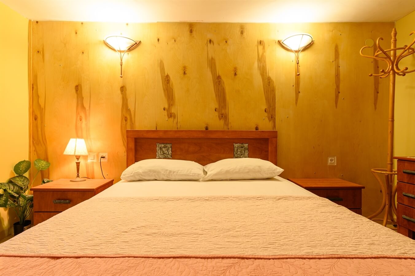 תמונה של כלנית - 7