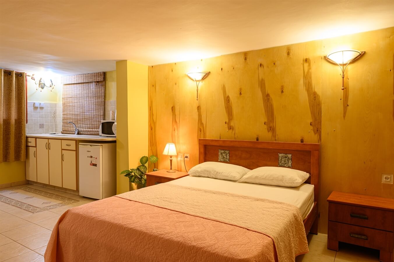 תמונה של כלנית - 3