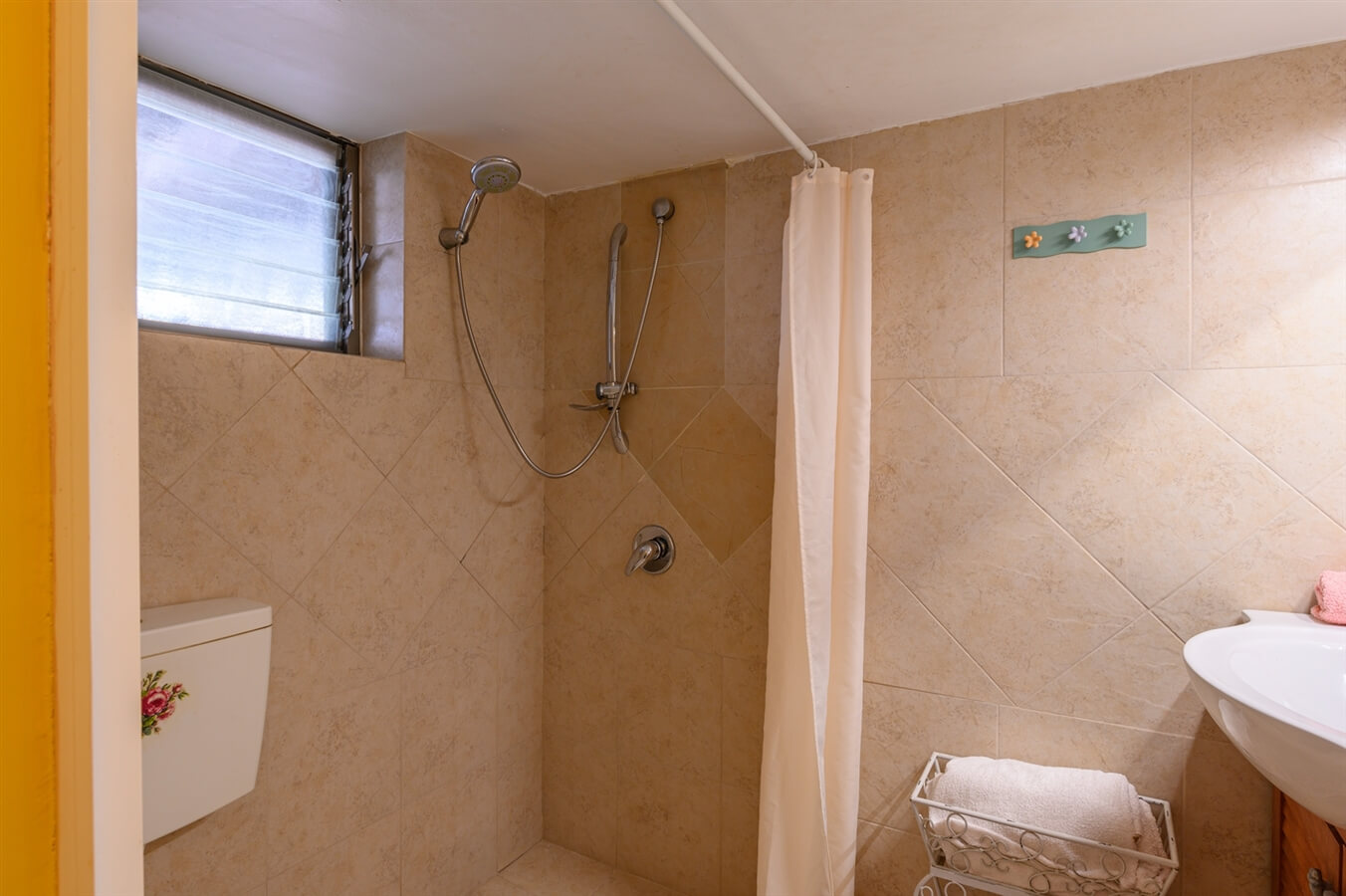 תמונה של פומלה - 11