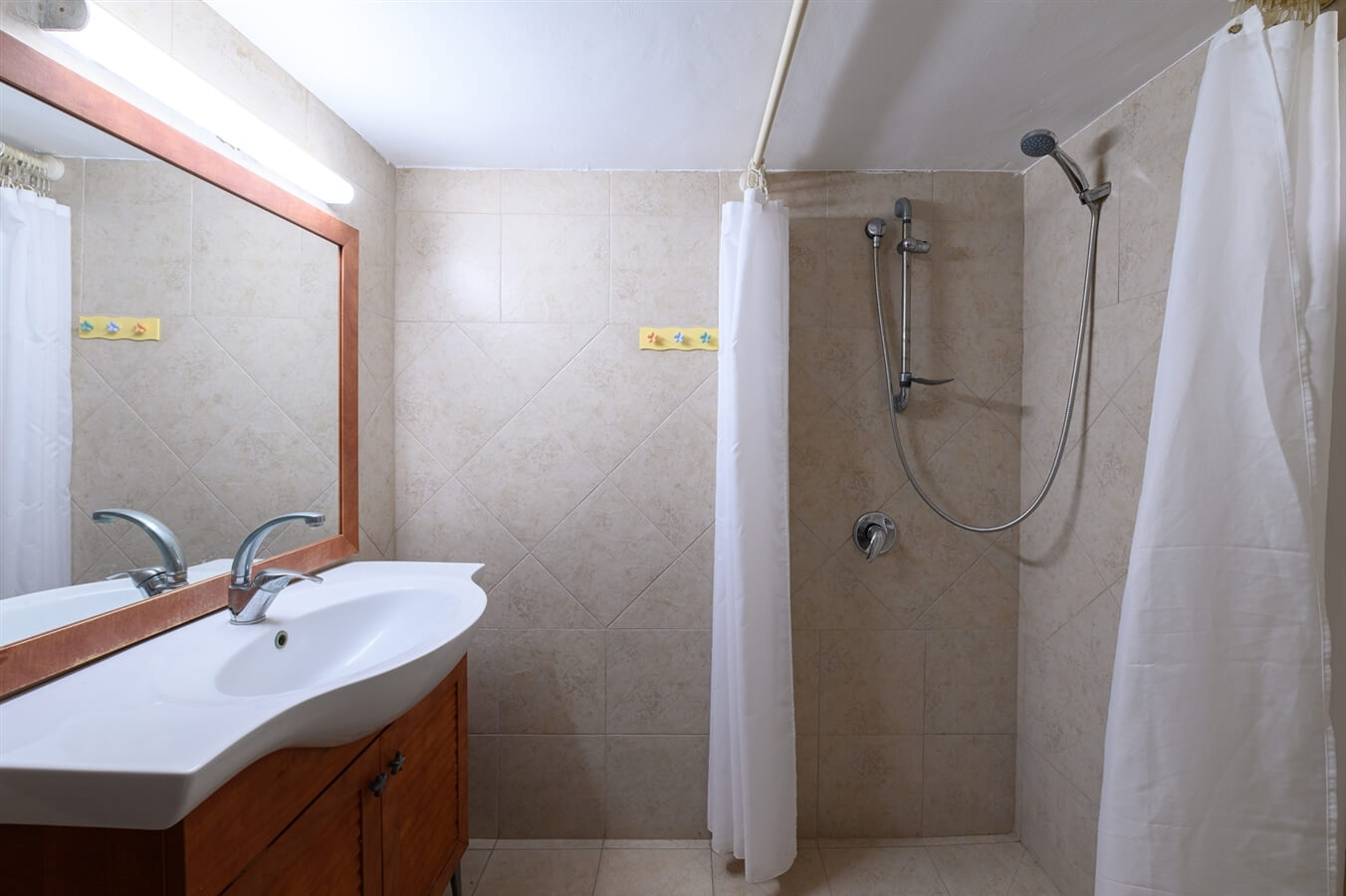 תמונה של כלנית - 10