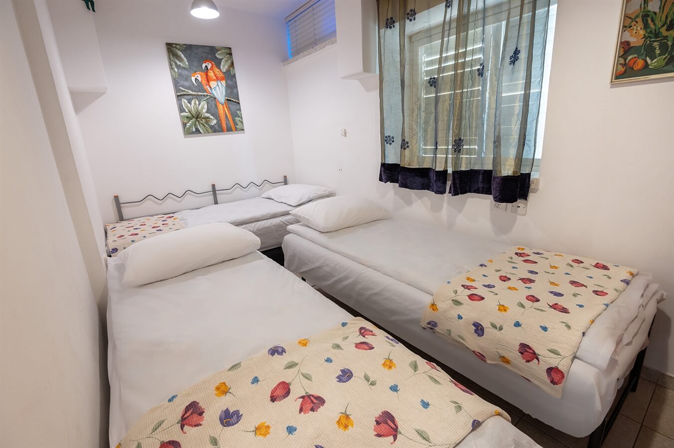 תמונה של היחידה המשפחתית - 6