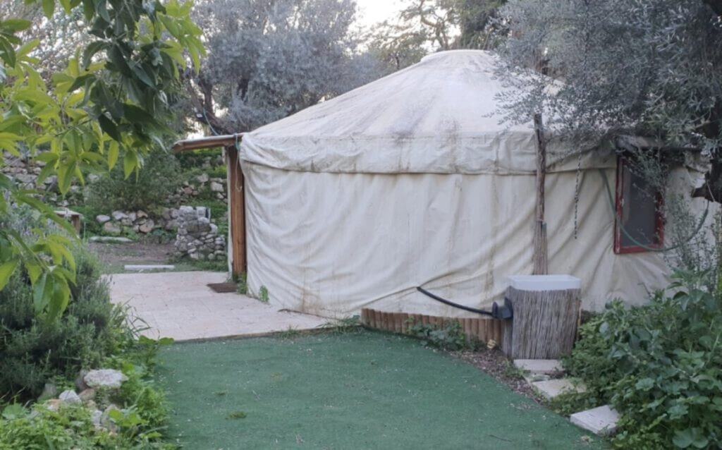 תמונה של היורט המונגולי - 5