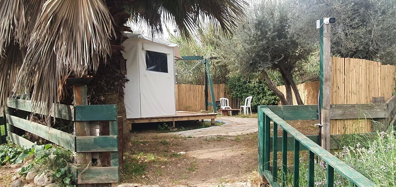 תמונה של היורט המונגולי - 4