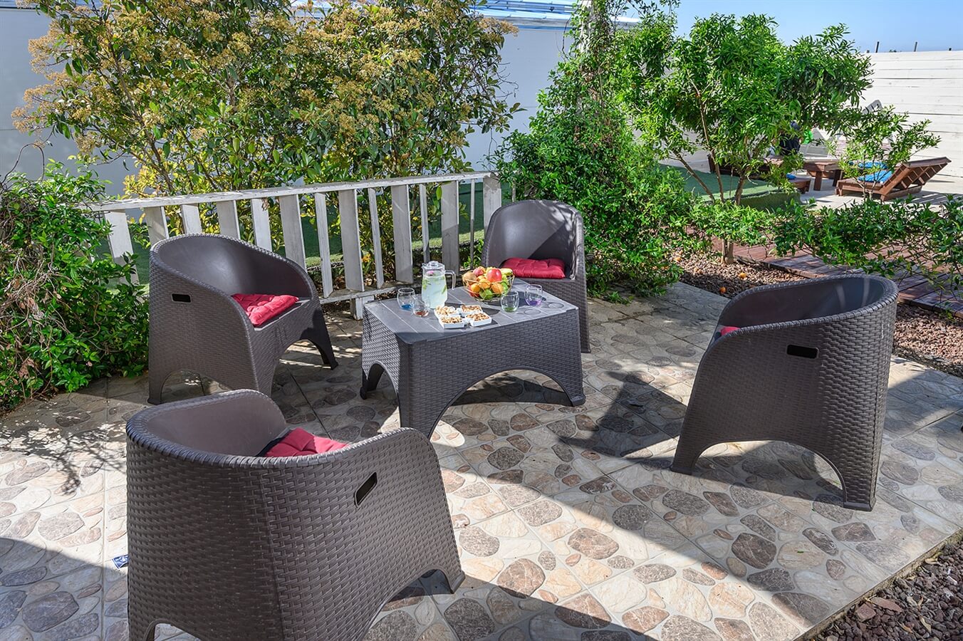 תמונה של תאנה - 5