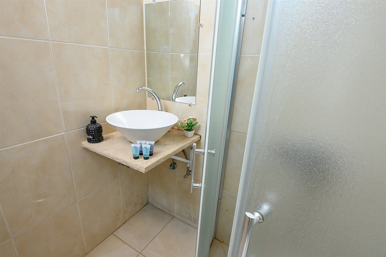 תמונה של תאנה - 7