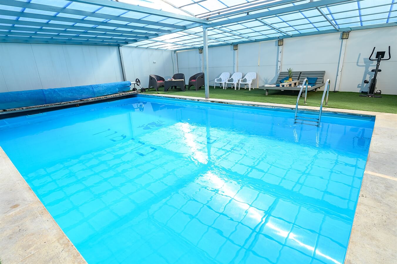 תמונה של גפן - 11