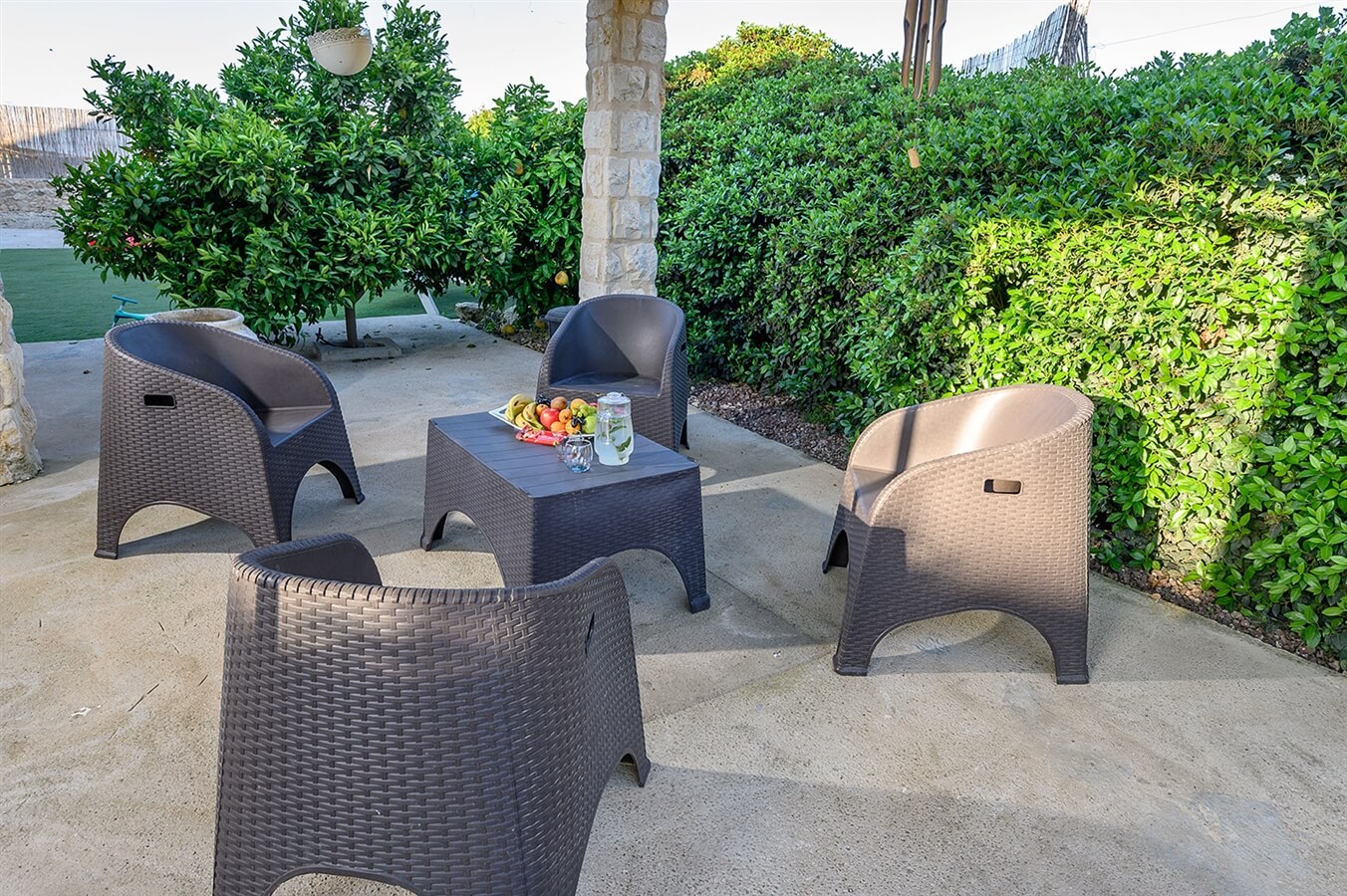 תמונה של גפן - 10