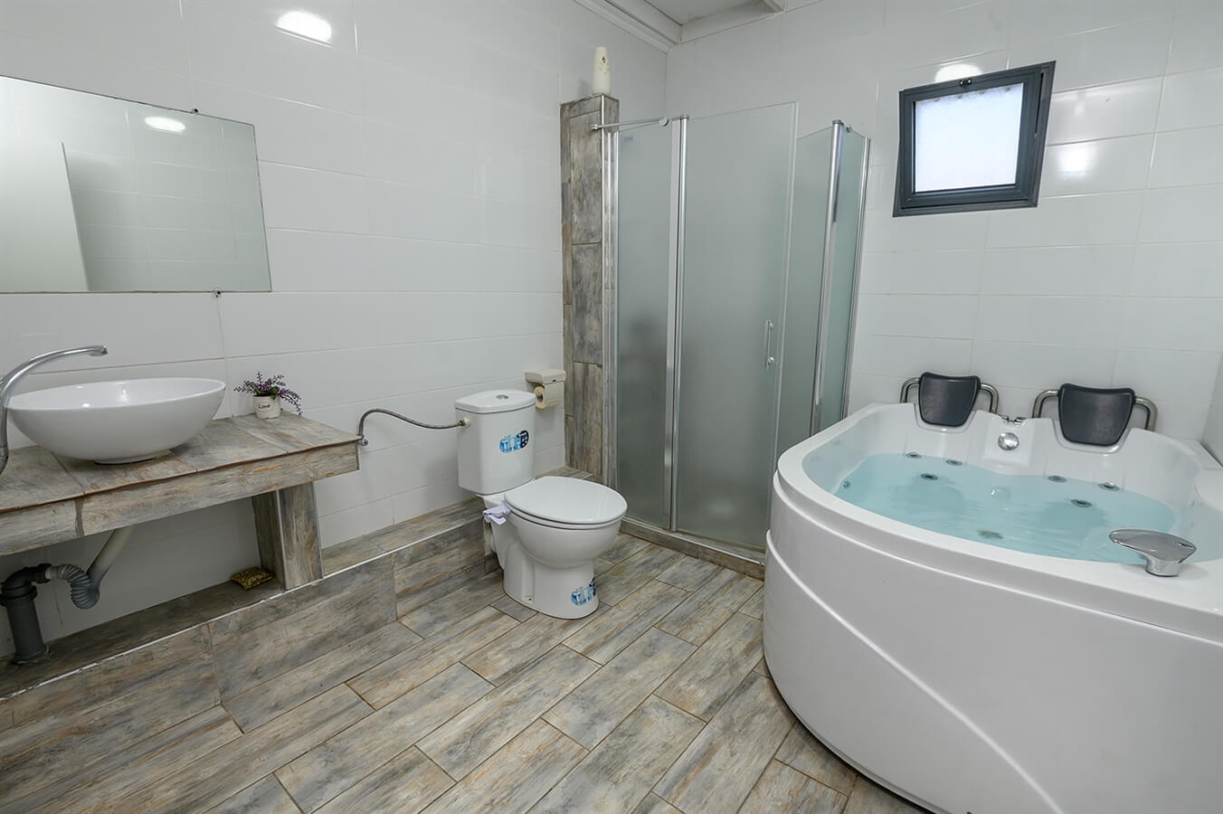 תמונה של תמר - 3