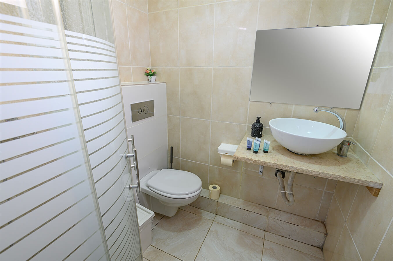 תמונה של רימון - 6