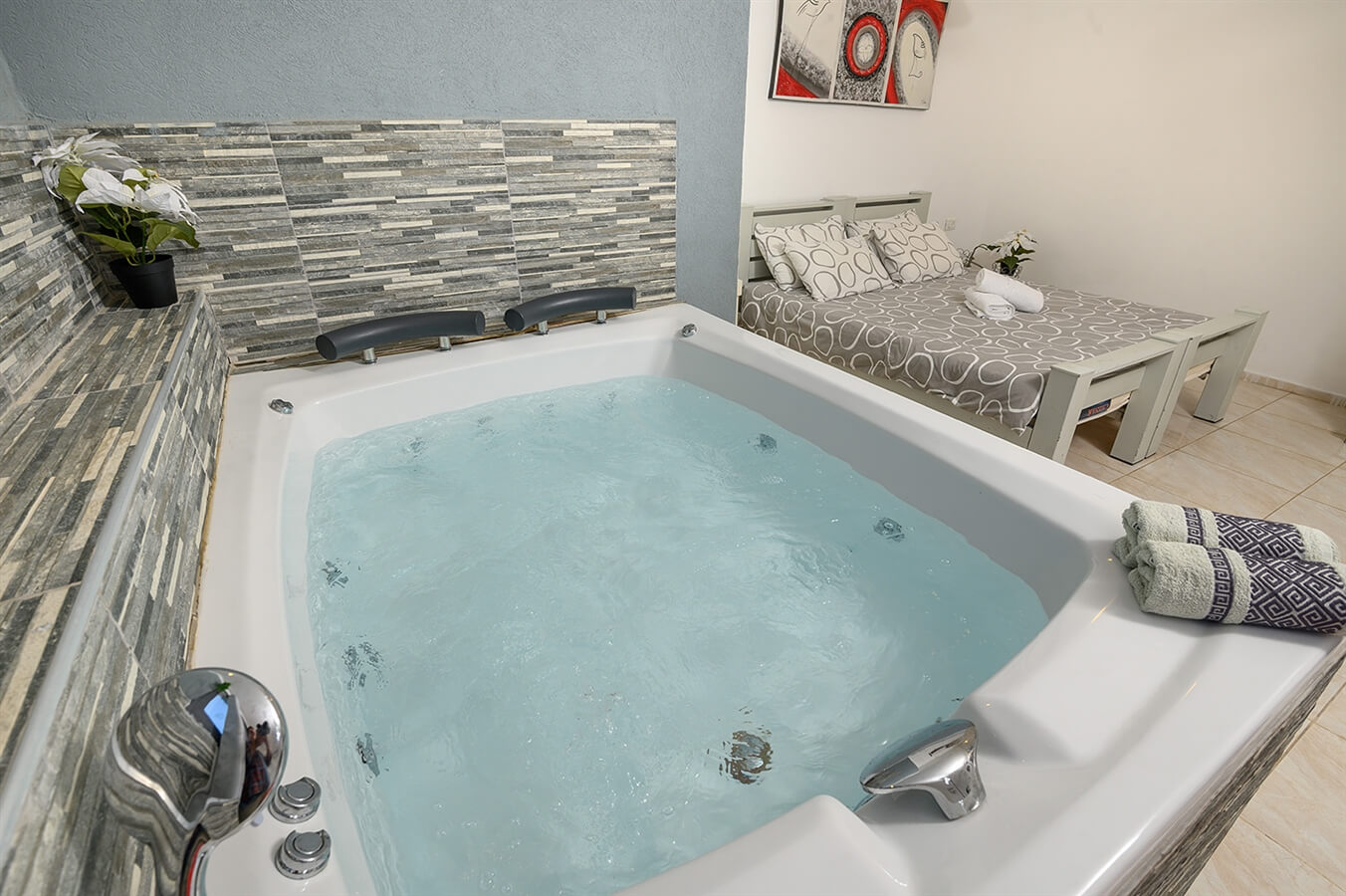 תמונה של גפן - 8