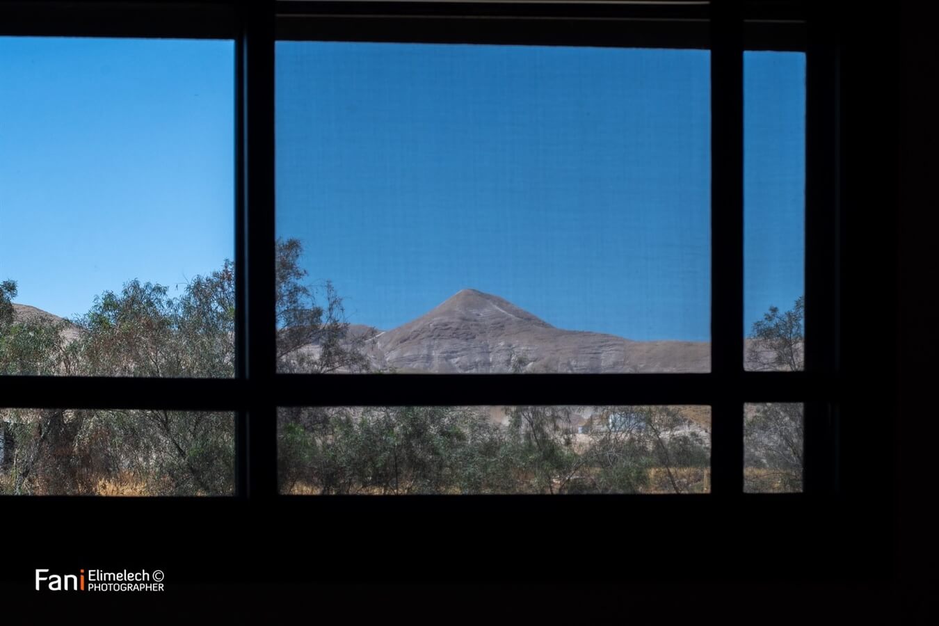 תמונה של הסוויטה - 11