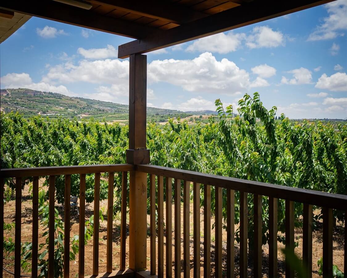 תמונה של בקתות עץ בטבע - 6