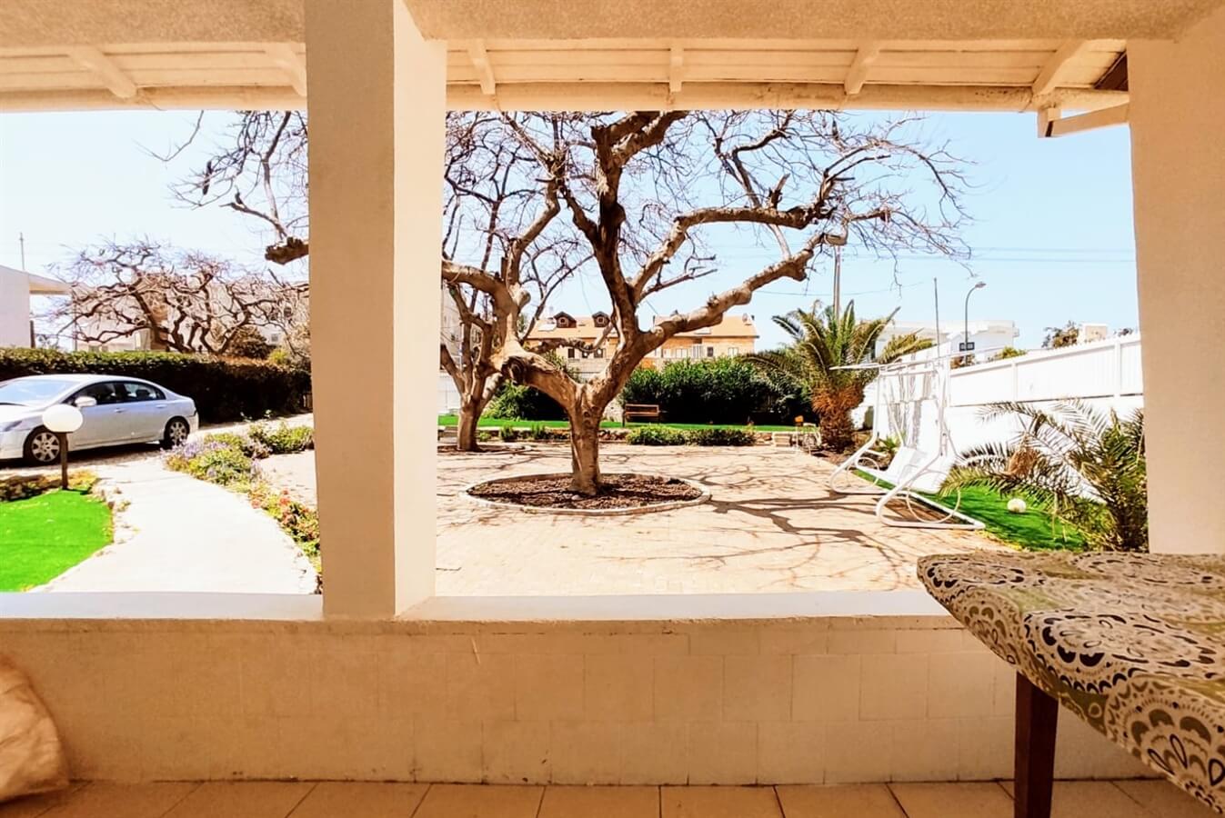 תמונה של דיוויד pearl - 10 תמונה של דיוויד pearl - 10