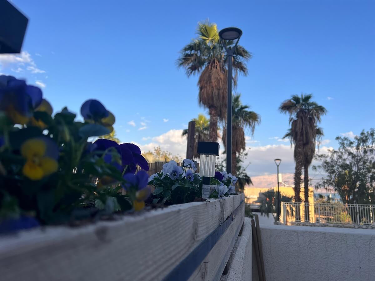 תמונה של DUCHESS OF THE SEA - 12