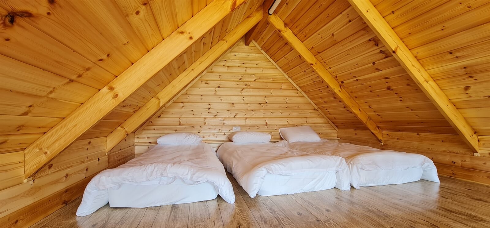 תמונה של יחידות האירוח - 10