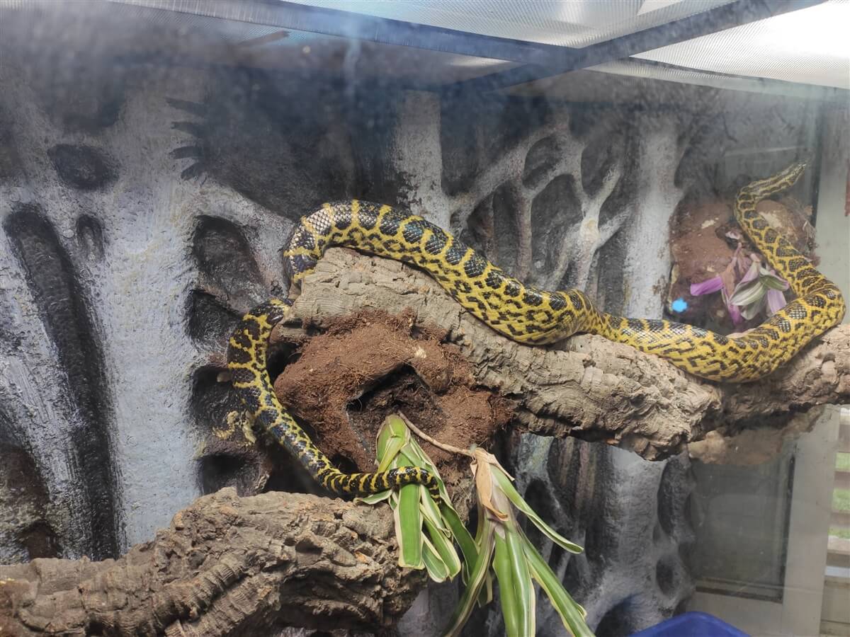 תמונה שצולמה בלגעת בחיות - 5 תמונה של לגעת בחיות - 5