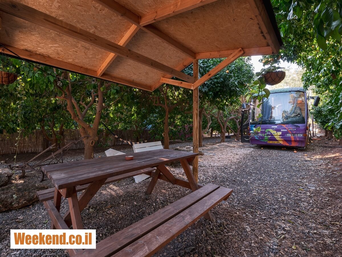 תמונה של valleybus - 2