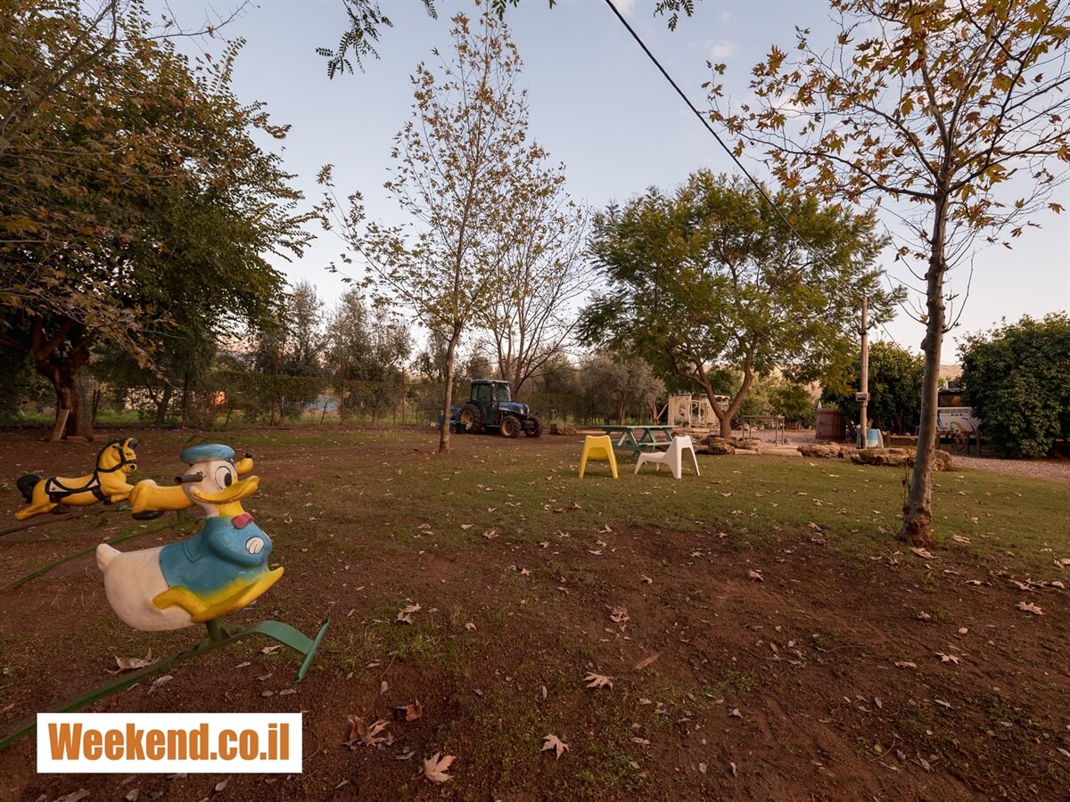 תמונה של artibus - 5