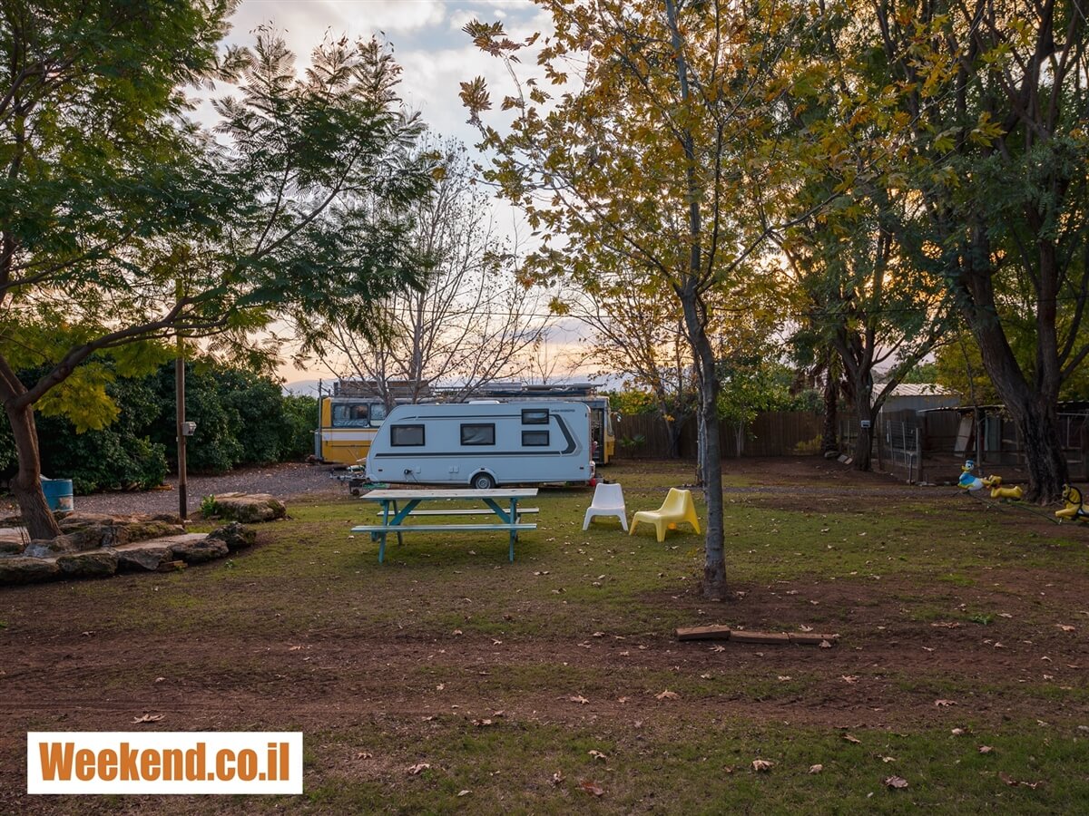 תמונה של artibus - 6