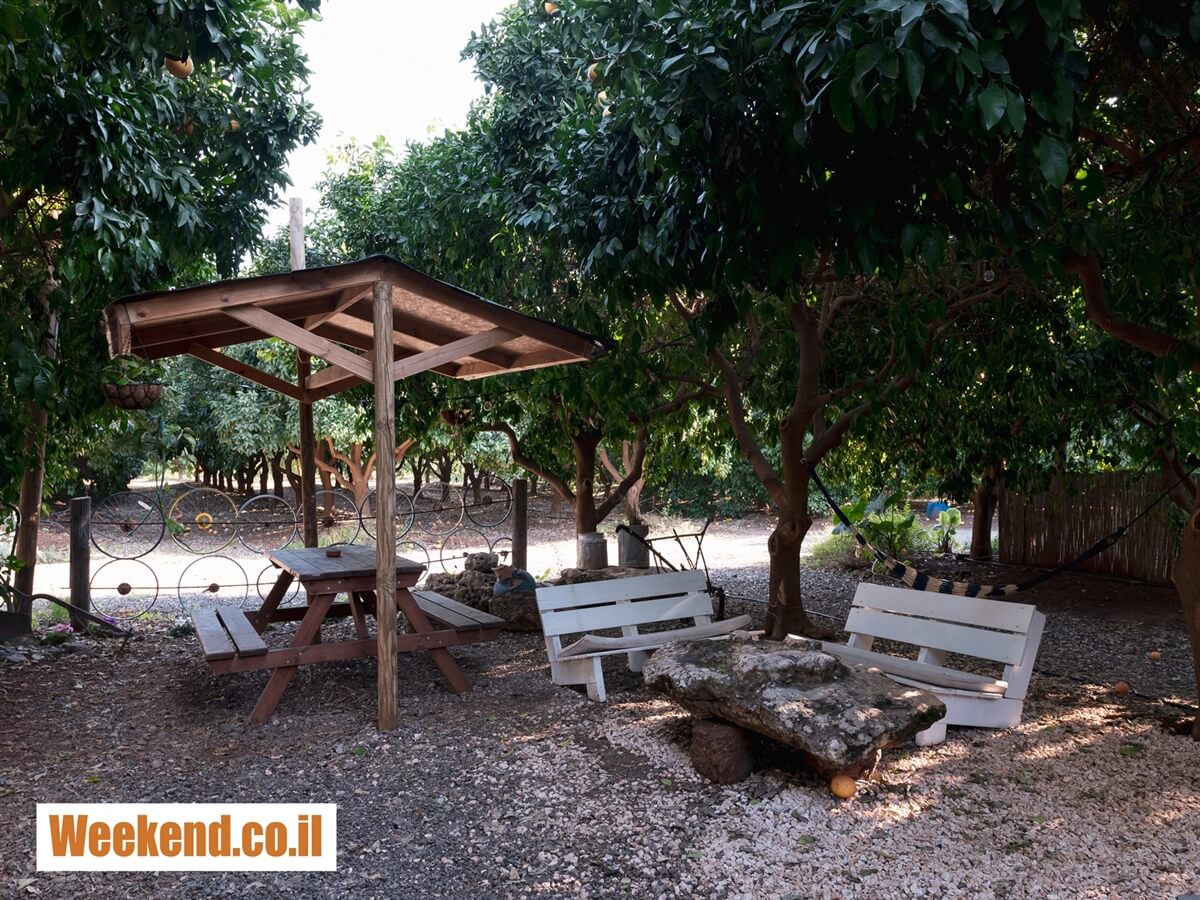 תמונה של valleybus - 3