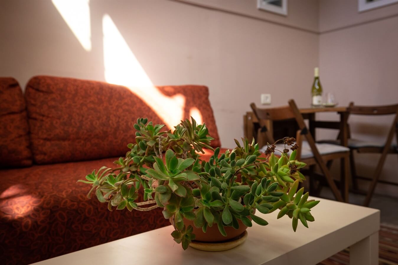 תמונה של יחידות גן - 7