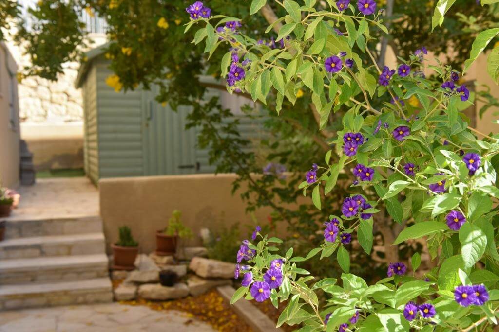 תמונה של יחידת האירוח - 15