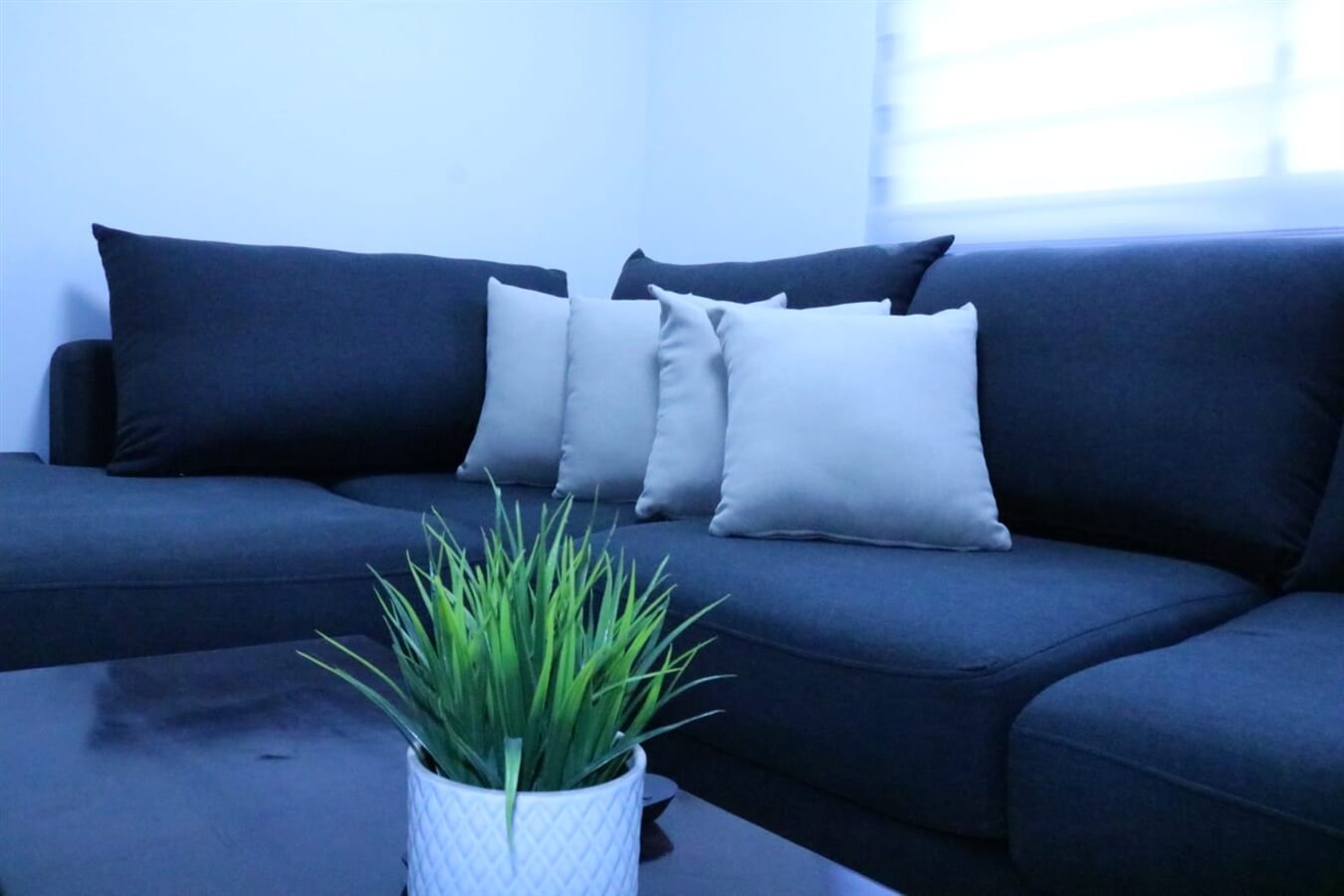 תמונה של הצימר - 8