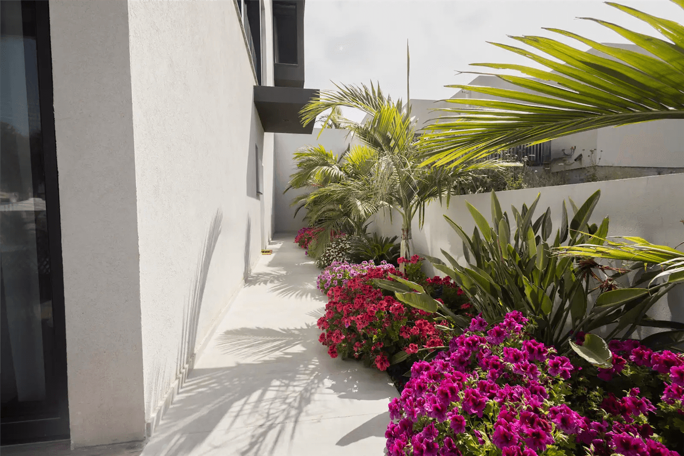 תמונה של סוויטת גן בוהו - 10