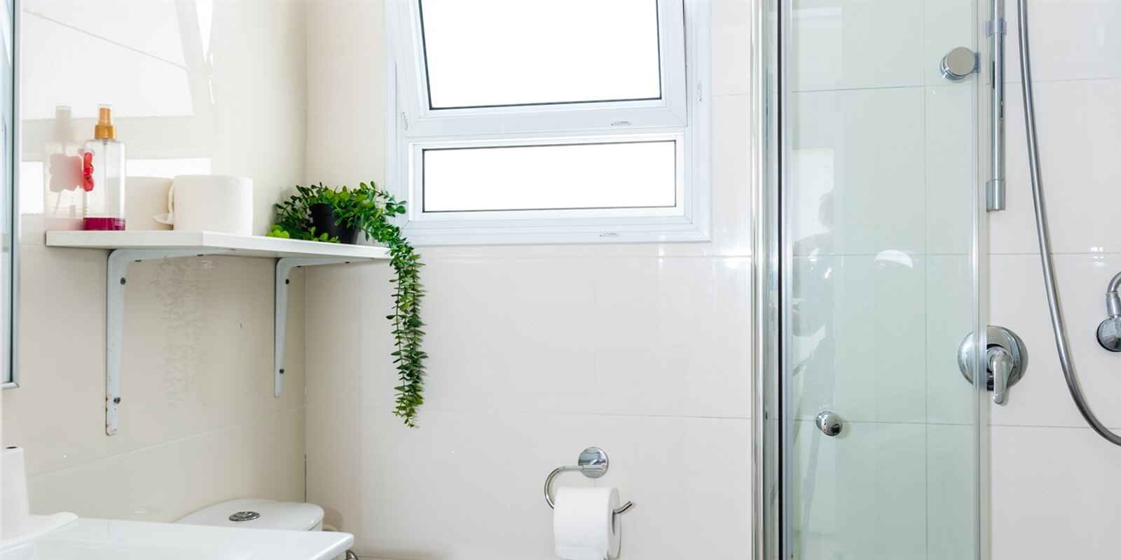 תמונה של קיוט סטודיו - 9